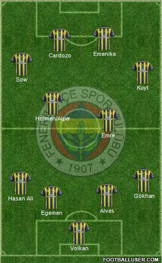 Fenerbahçe SK Formation 2013