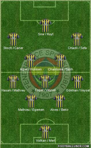 Fenerbahçe SK Formation 2013