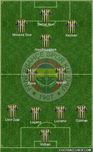 Fenerbahçe SK Formation 2013