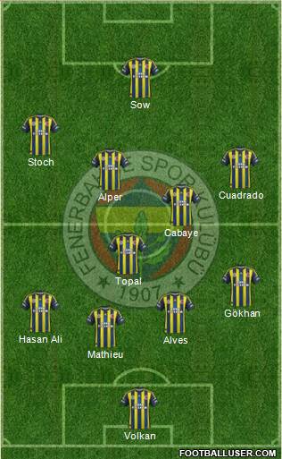 Fenerbahçe SK Formation 2013