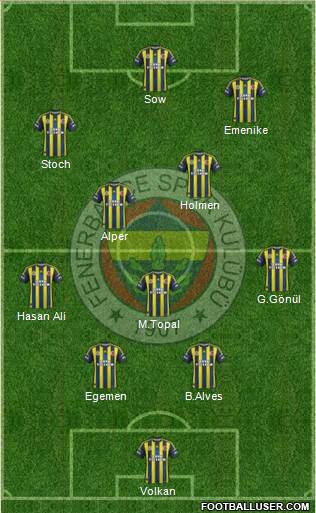 Fenerbahçe SK Formation 2013