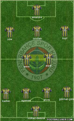 Fenerbahçe SK Formation 2013