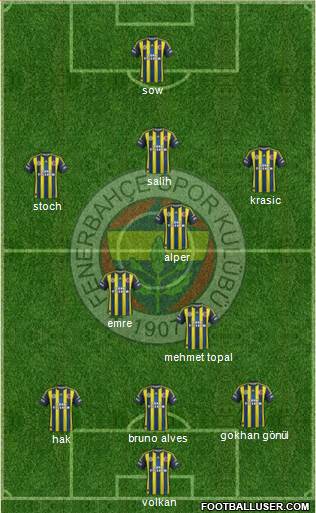 Fenerbahçe SK Formation 2013
