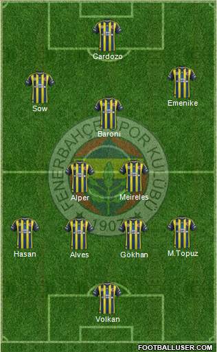 Fenerbahçe SK Formation 2013