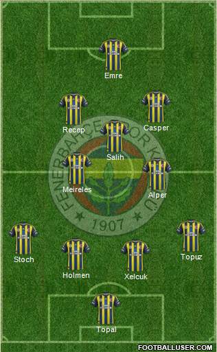 Fenerbahçe SK Formation 2013