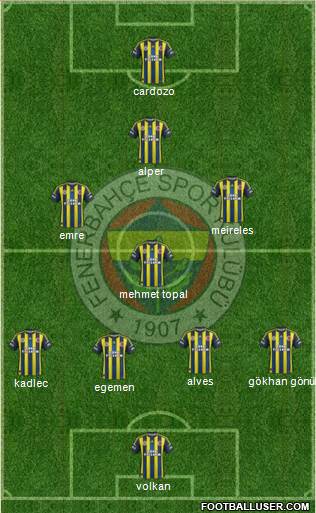 Fenerbahçe SK Formation 2013