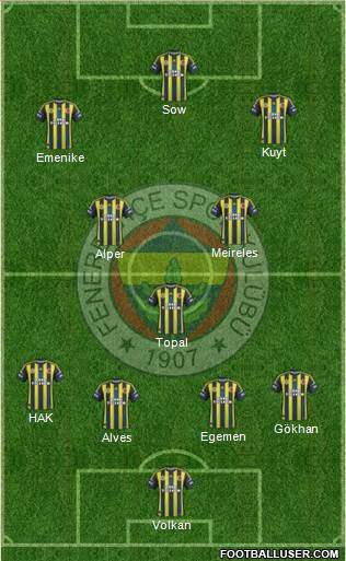 Fenerbahçe SK Formation 2013