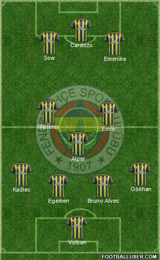 Fenerbahçe SK Formation 2013