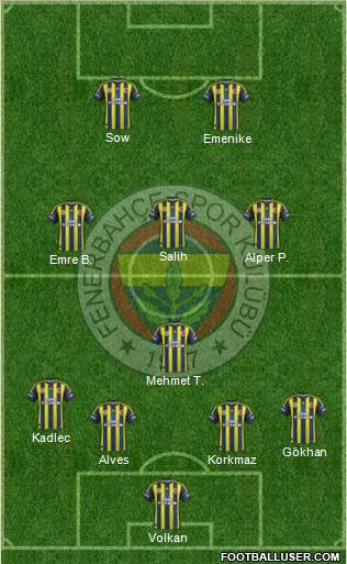 Fenerbahçe SK Formation 2013