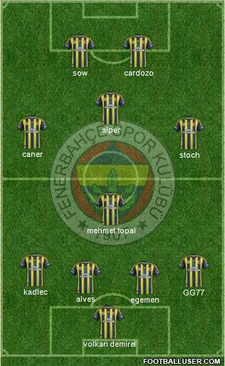 Fenerbahçe SK Formation 2013