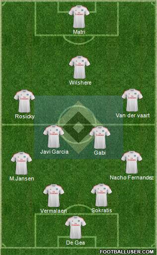 Hamburger SV Formation 2013
