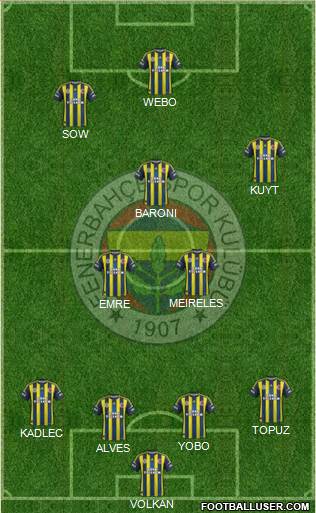 Fenerbahçe SK Formation 2013