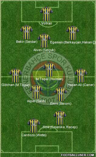 Fenerbahçe SK Formation 2013