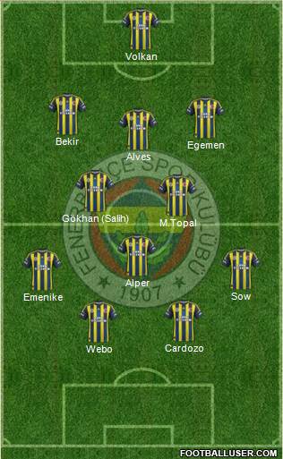 Fenerbahçe SK Formation 2013