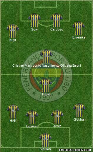 Fenerbahçe SK Formation 2013