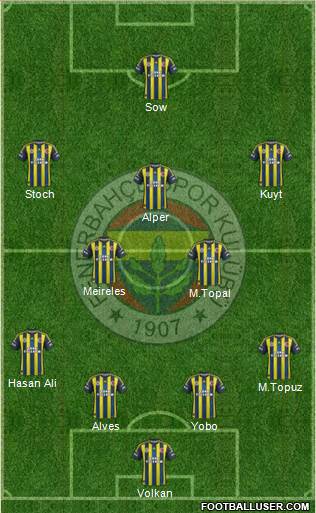 Fenerbahçe SK Formation 2013