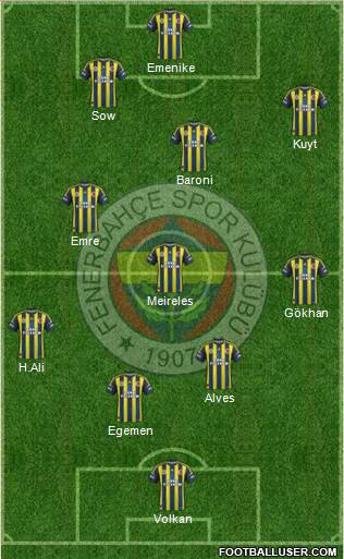 Fenerbahçe SK Formation 2013