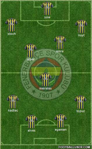 Fenerbahçe SK Formation 2013
