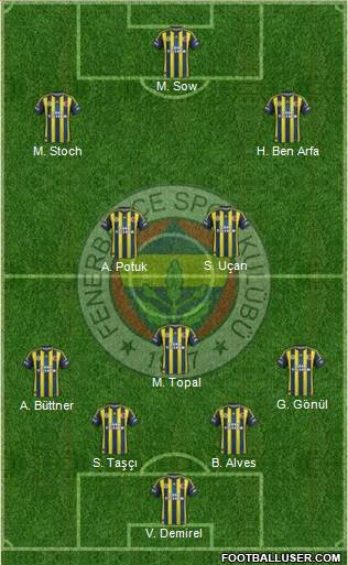 Fenerbahçe SK Formation 2013