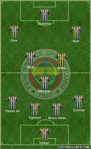 Fenerbahçe SK Formation 2013