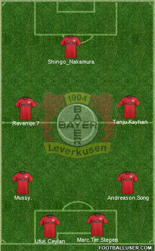 Bayer 04 Leverkusen Formation 2013