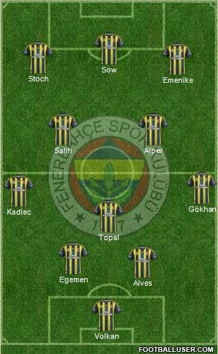 Fenerbahçe SK Formation 2013