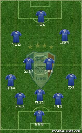 Suwon Samsung Blue Wings Formation 2013