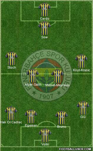 Fenerbahçe SK Formation 2013