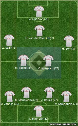 Hamburger SV Formation 2013