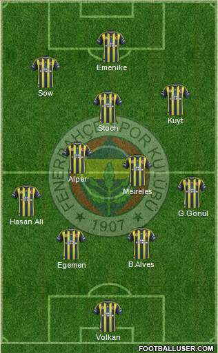 Fenerbahçe SK Formation 2013