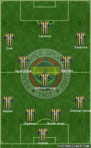 Fenerbahçe SK Formation 2013