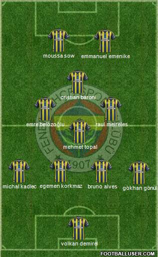 Fenerbahçe SK Formation 2013