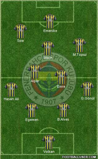 Fenerbahçe SK Formation 2013
