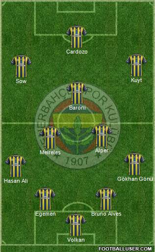 Fenerbahçe SK Formation 2013