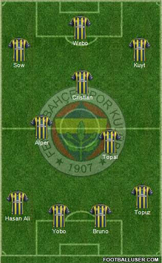 Fenerbahçe SK Formation 2013