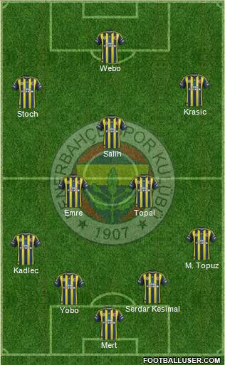 Fenerbahçe SK Formation 2013