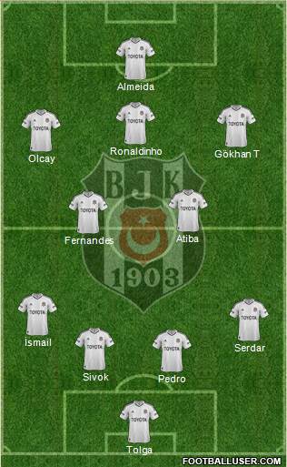 Besiktas JK Formation 2013