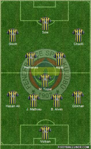 Fenerbahçe SK Formation 2013