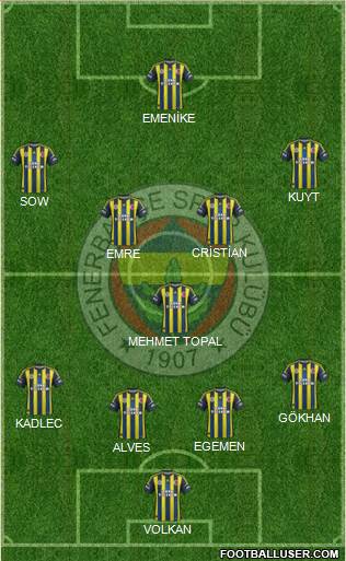 Fenerbahçe SK Formation 2013