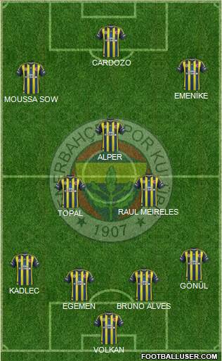 Fenerbahçe SK Formation 2013