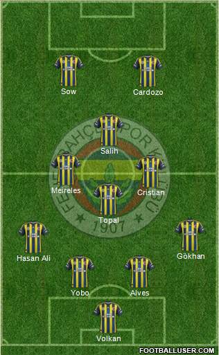 Fenerbahçe SK Formation 2013