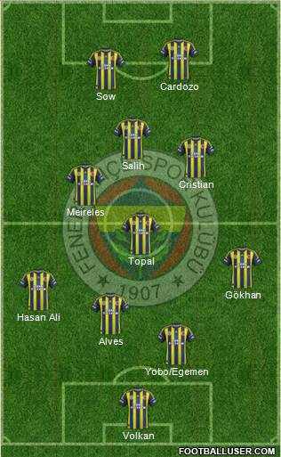 Fenerbahçe SK Formation 2013