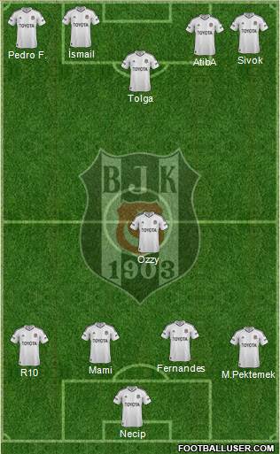 Besiktas JK Formation 2013