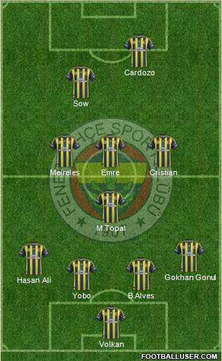 Fenerbahçe SK Formation 2013