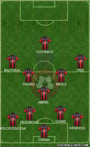 OGC Nice Côte d'Azur Formation 2013