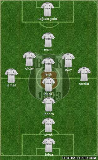 Besiktas JK Formation 2013
