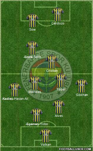 Fenerbahçe SK Formation 2013