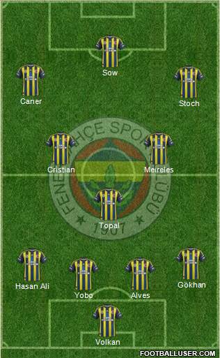 Fenerbahçe SK Formation 2013