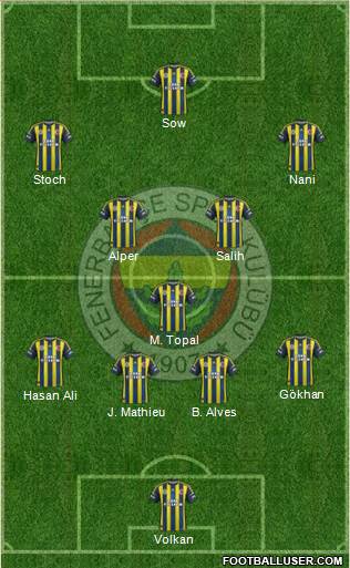 Fenerbahçe SK Formation 2013