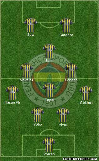 Fenerbahçe SK Formation 2013